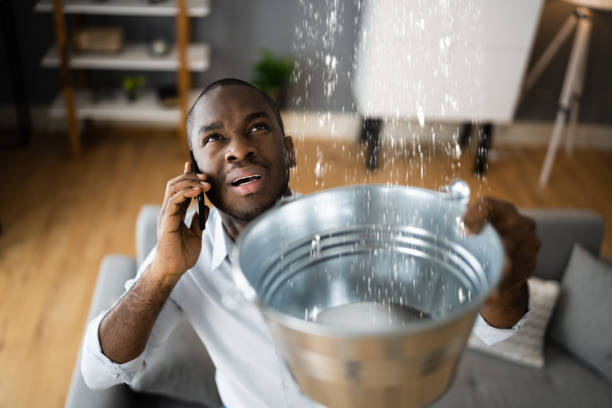 Best Mold removal after water damage  in New Richmond, OH