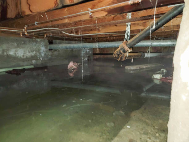 Water damage restoration mold remediation in New Richmond, OH