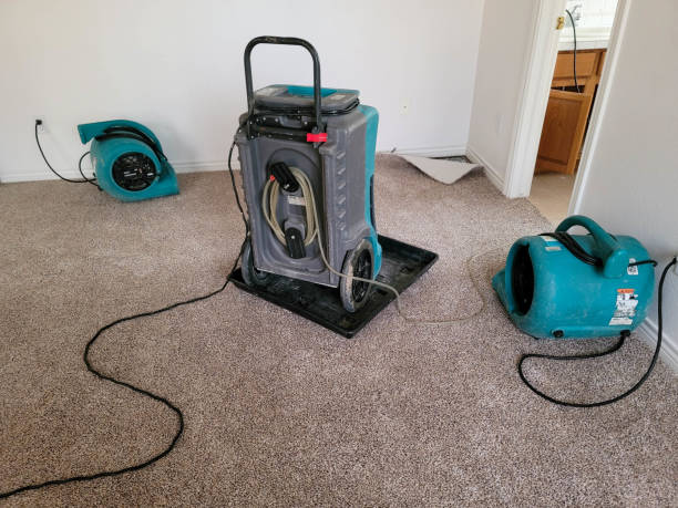 Best Water damage cleanup near me  in New Richmond, OH