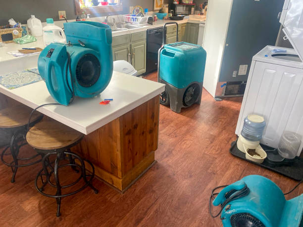 Best Water damage restoration near me  in New Richmond, OH