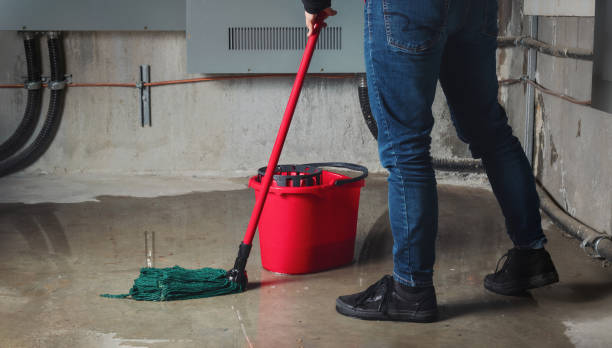 Best Water damage restoration near me  in New Richmond, OH