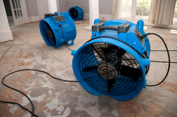 Best Water damage restoration near me  in New Richmond, OH