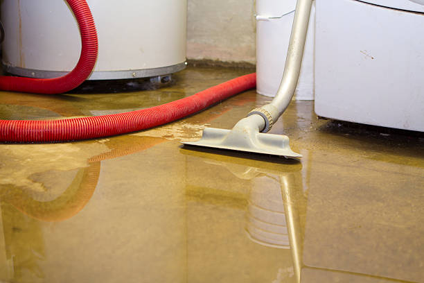Best Professional water damage repair  in New Richmond, OH