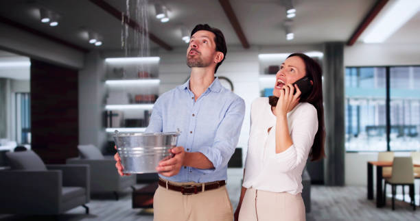Best Fire Damage Restoration  in New Richmond, OH