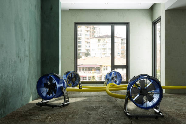 Best Water damage restoration mold remediation  in New Richmond, OH