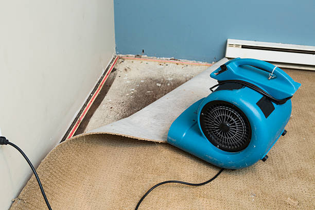 Best 24/7 water damage repair  in New Richmond, OH